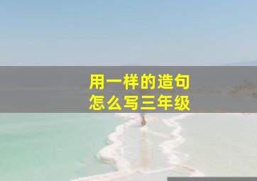 用一样的造句怎么写三年级