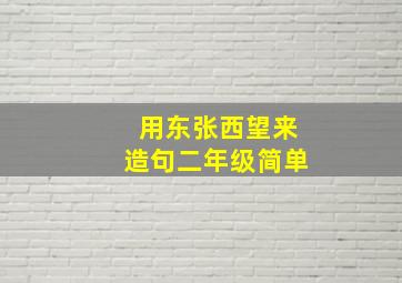 用东张西望来造句二年级简单