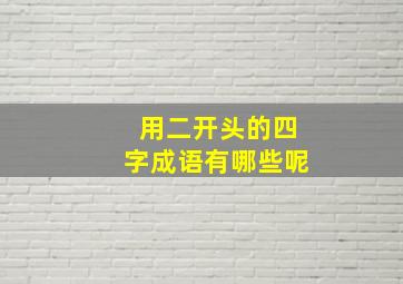 用二开头的四字成语有哪些呢