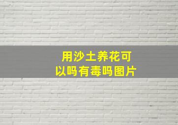 用沙土养花可以吗有毒吗图片