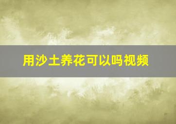 用沙土养花可以吗视频