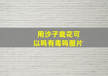 用沙子栽花可以吗有毒吗图片