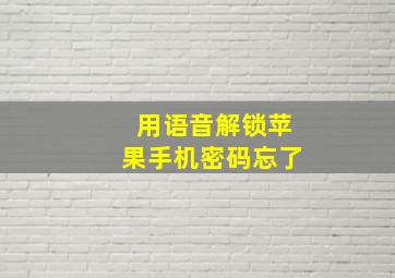 用语音解锁苹果手机密码忘了