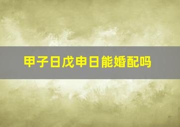 甲子日戊申日能婚配吗