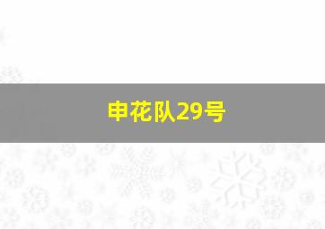 申花队29号