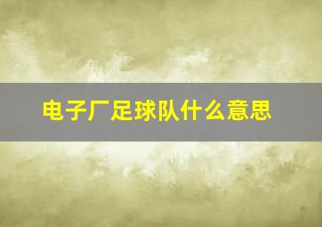 电子厂足球队什么意思