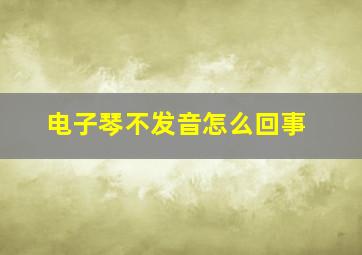 电子琴不发音怎么回事