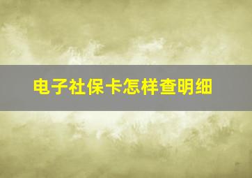 电子社保卡怎样查明细