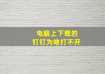 电脑上下载的钉钉为啥打不开