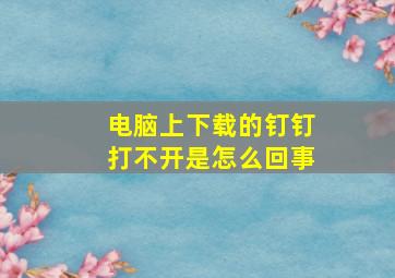 电脑上下载的钉钉打不开是怎么回事