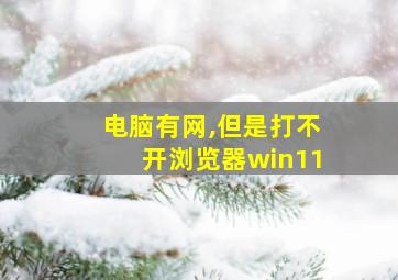 电脑有网,但是打不开浏览器win11