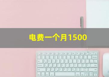 电费一个月1500