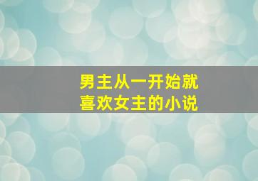 男主从一开始就喜欢女主的小说