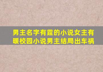 男主名字有霆的小说女主有暖校园小说男主结局出车祸