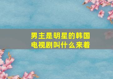 男主是明星的韩国电视剧叫什么来着