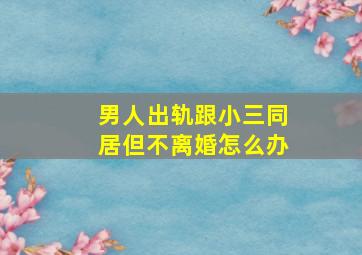 男人出轨跟小三同居但不离婚怎么办