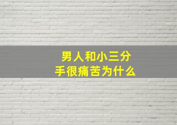 男人和小三分手很痛苦为什么