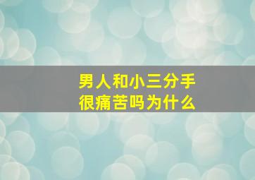 男人和小三分手很痛苦吗为什么