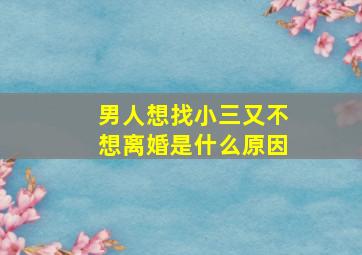 男人想找小三又不想离婚是什么原因