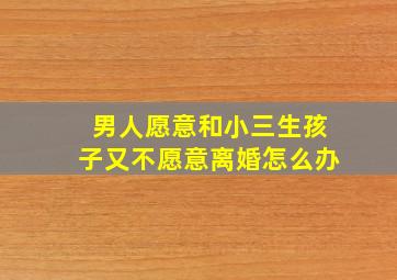 男人愿意和小三生孩子又不愿意离婚怎么办