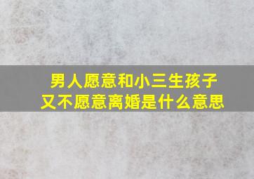 男人愿意和小三生孩子又不愿意离婚是什么意思