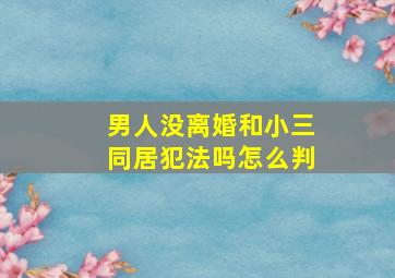 男人没离婚和小三同居犯法吗怎么判