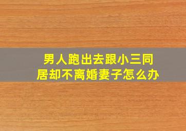 男人跑出去跟小三同居却不离婚妻子怎么办