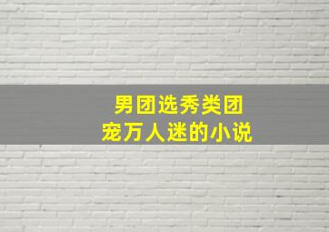 男团选秀类团宠万人迷的小说