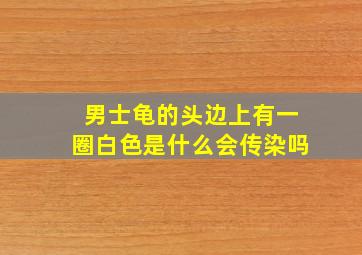 男士龟的头边上有一圈白色是什么会传染吗