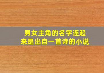 男女主角的名字连起来是出自一首诗的小说