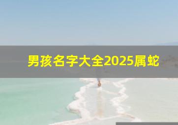 男孩名字大全2025属蛇