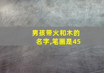 男孩带火和木的名字,笔画是45