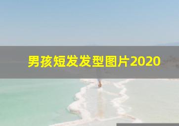 男孩短发发型图片2020