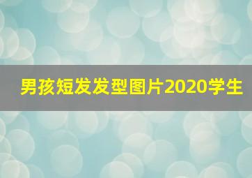 男孩短发发型图片2020学生