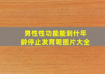 男性性功能能到什年龄停止发育呢图片大全