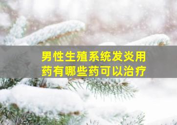 男性生殖系统发炎用药有哪些药可以治疗