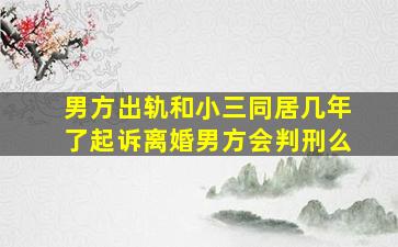 男方出轨和小三同居几年了起诉离婚男方会判刑么