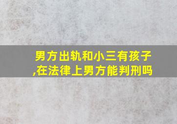 男方出轨和小三有孩子,在法律上男方能判刑吗