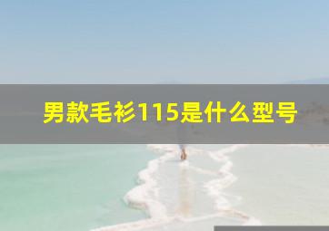 男款毛衫115是什么型号