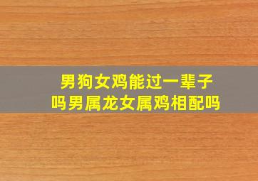 男狗女鸡能过一辈子吗男属龙女属鸡相配吗