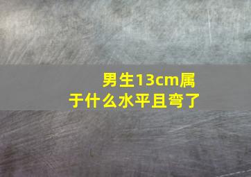 男生13cm属于什么水平且弯了