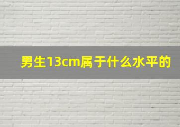 男生13cm属于什么水平的