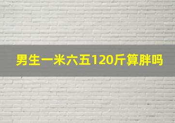 男生一米六五120斤算胖吗