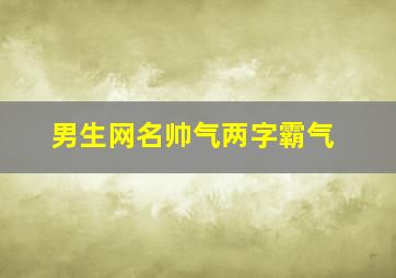 男生网名帅气两字霸气