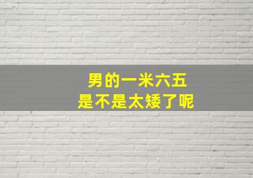 男的一米六五是不是太矮了呢