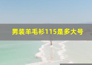 男装羊毛衫115是多大号