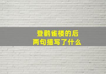 登鹳雀楼的后两句描写了什么