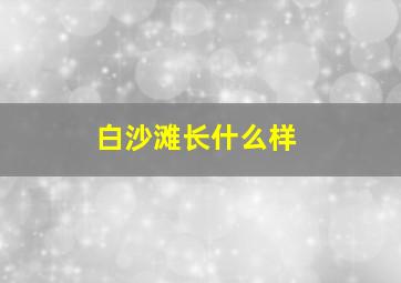 白沙滩长什么样