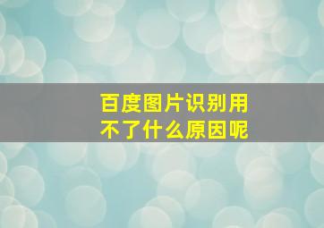 百度图片识别用不了什么原因呢