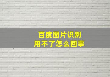 百度图片识别用不了怎么回事